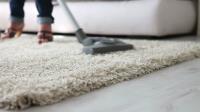 Carpet Cleaning Helensvale image 2